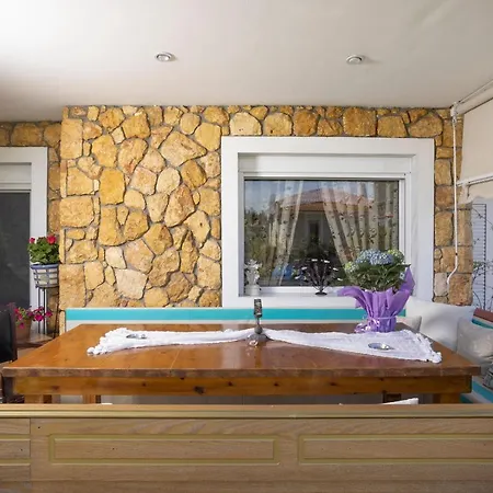 Holiday Villa